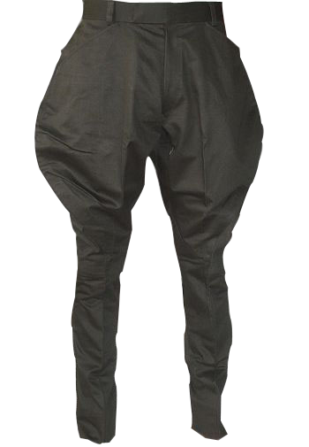 Breeches in Brown Colour