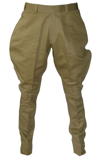 Breeches in Light Brown Colour